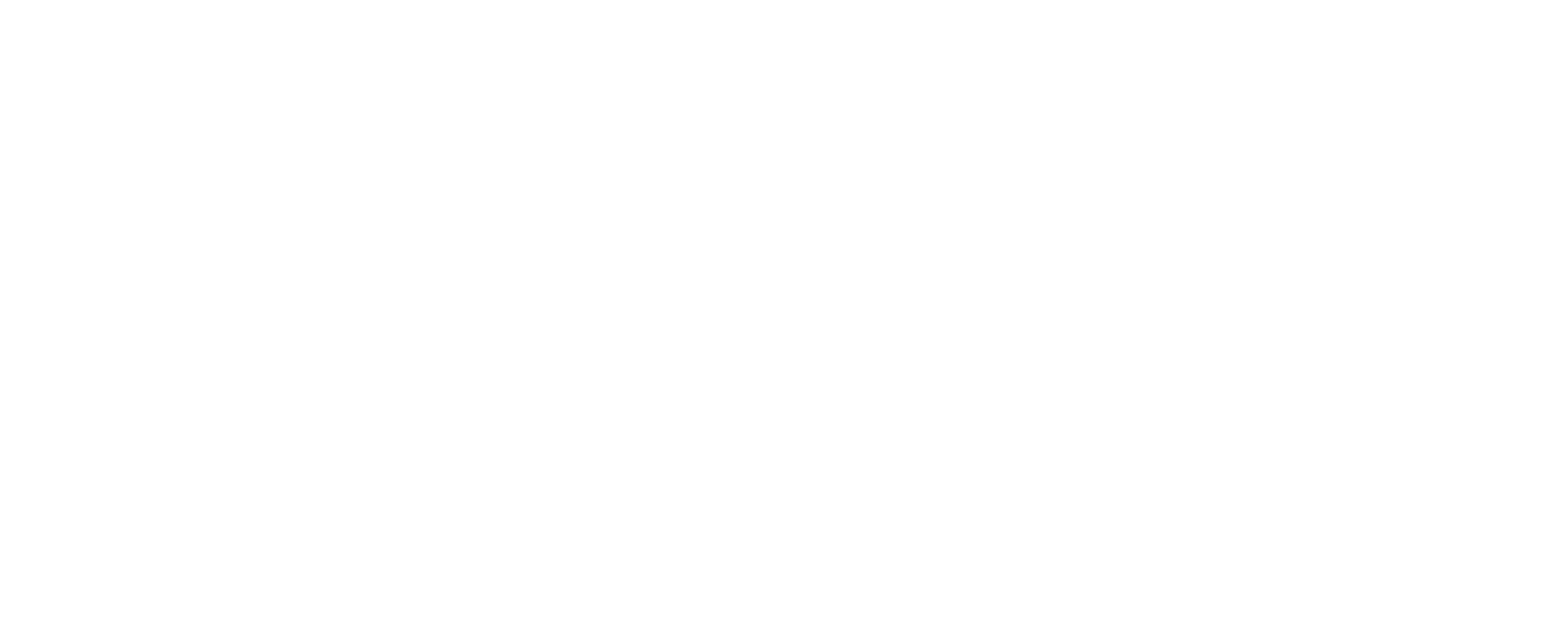 DSFuneral Logo